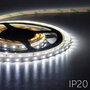 Flexible-LED-Strip-3528-CoolWhite-6000K-60LEDs-mtr-IP20