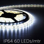 Flexible-LED-Strip-3528-CoolWhite-6000K-60LEDs-mtr-IP64
